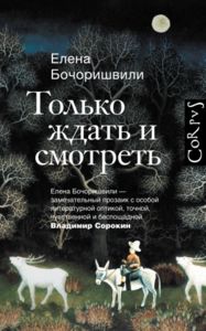 «Только ждать и смотреть»: новая книга Елены Бочоришвили